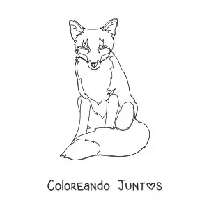 Imagen para colorear de un zorro salvaje sentado de frente