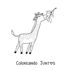 Imagen para colorear de una jirafa animada comiendo hojas estirando el cuello