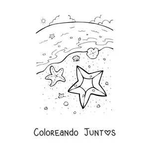 Imagen para colorear de varias estrellas de mar en la orilla de la playa