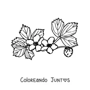 Imagen para colorear de la rama de un arbusto de fresas con flores