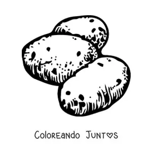 Imagen para colorear de tres papas crudas