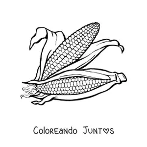 Imagen para colorear de dos mazorcas de maíz realistas
