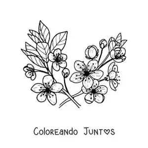 Imagen para colorear de varias flores y hojas de cerezo