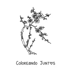 Imagen para colorear de un cerezo con flores