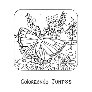 Imagen para colorear de una mariposa posándose entre flores