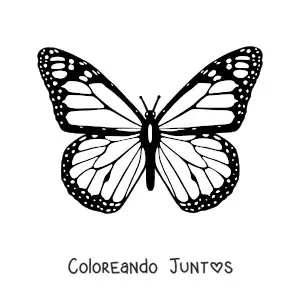 Imagen para colorear de una mariposa monarca con alas abiertas