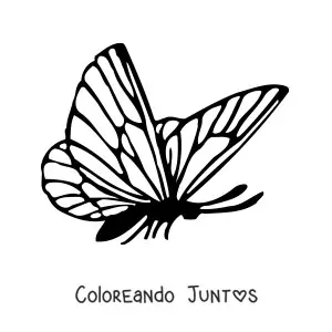 Imagen para colorear de una mariposa de perfil
