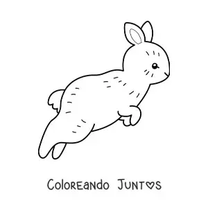 Imagen para colorear de un conejo tierno de perfil saltando
