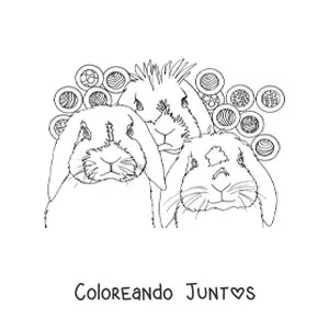 Imagen para colorear de tres conejos realistas con un diseño de círculos con tramaos en el fondo