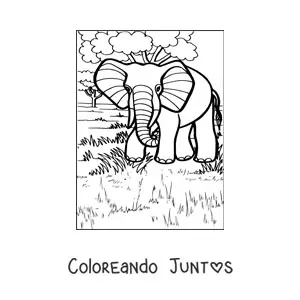 Imagen para colorear de un elefante posando en su hábitat natural