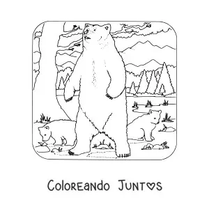 Imagen para colorear de tres osos grizzly salvajes en el bosque