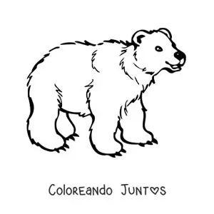 Imagen para colorear de un oso animado sonriente en cuatro patas