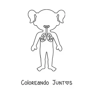 Imagen para colorear de la ubicación de los pulmones en la silueta de una niña