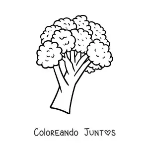 Imagen para colorear de un brócoli