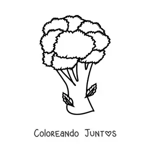 Imagen para colorear de un brócoli con hojas