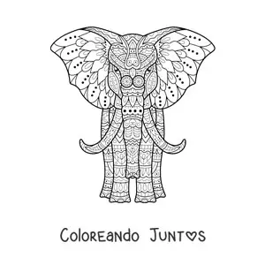 Imagen para colorear de un mandala de elefante de frente