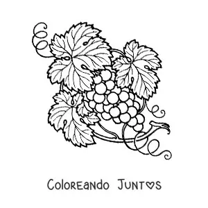 Imagen para colorear de unas uvas en la vid
