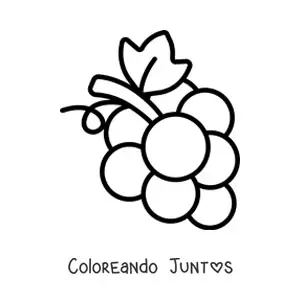 Imagen para colorear de un racimo de uvas pequeño