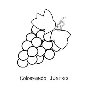 Imagen para colorear de un racimo de uvas con dos hojas