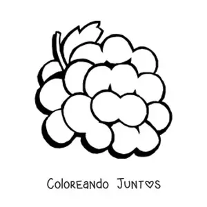 Imagen para colorear de un racimo de uvas