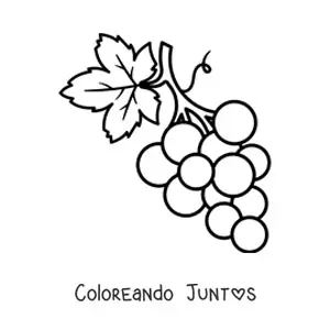 Imagen para colorear de un racimo de uvas pequeño con una hoja grande