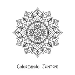 Imagen para colorear de mandala hindú zentangle