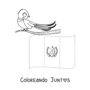 Imagen para colorear de la bandera de Guatemala con el ave nacional