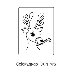 Imagen para colorear de ciervo navideño con bastón de caramelo