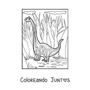 Imagen para colorear de altura de un dinosaurio de cuello largo