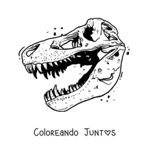 Imagen para colorear de cráneo de un tiranosaurio rex