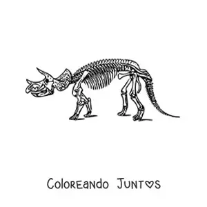 Imagen para colorear de esqueleto de un triceratops