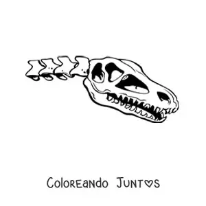 Imagen para colorear de cráneo de un dinosaurio