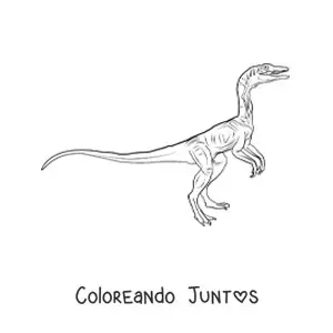 Imagen para colorear de dinosaurio carnívoro pequeño realista