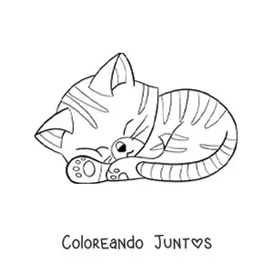 Imagen para colorear de gato kawaii animado con rayas durmiendo