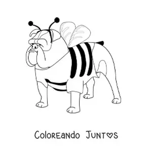 Imagen para colorear de un bulldog disfrazado de abeja