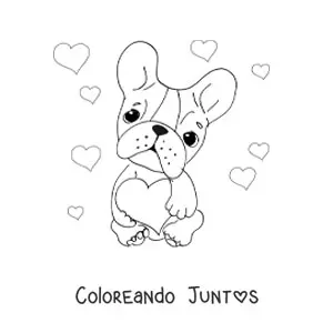 Imagen para colorear de bulldog francés sentado sosteniendo un corazón con corazones de fondo