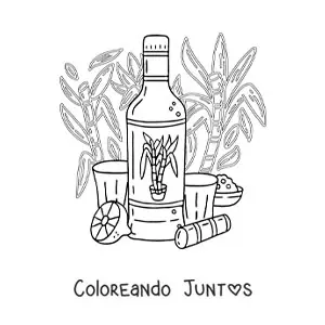 Imagen para colorear de bebida tradicional de brasil
