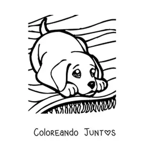 Imagen para colorear de un cachorro jugando