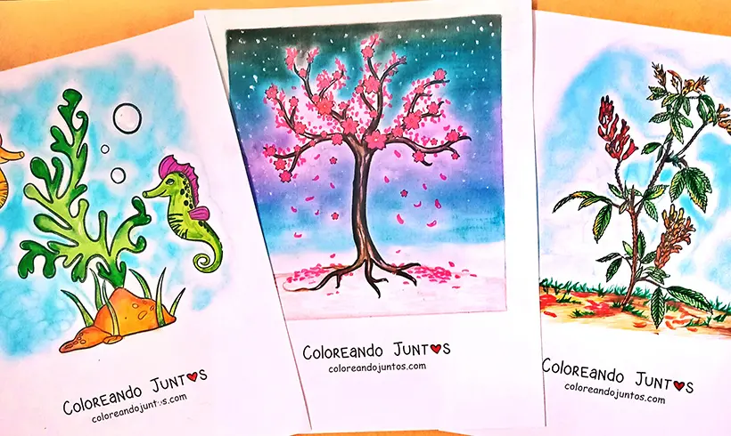 Dibujos de plantas y árboles coloreados por Coloreando Juntos