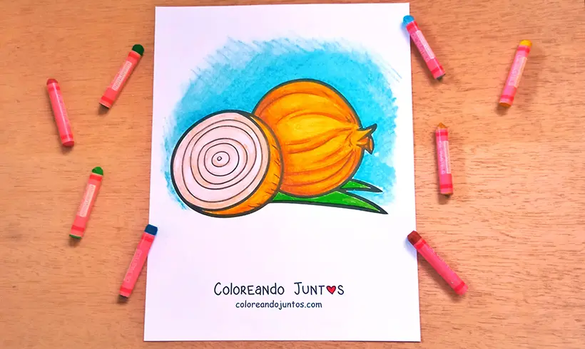 Dibujo de cebolla coloreada por Coloreando Juntos
