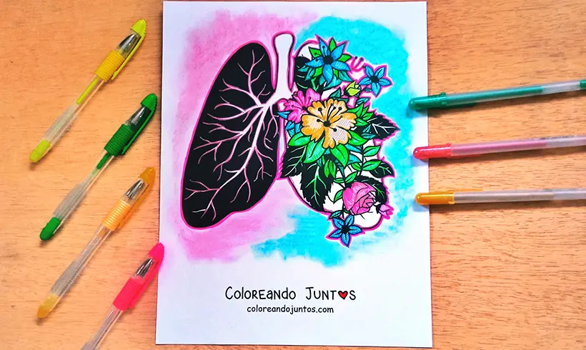 Dibujo de pulmones coloreados por Coloreando Juntos