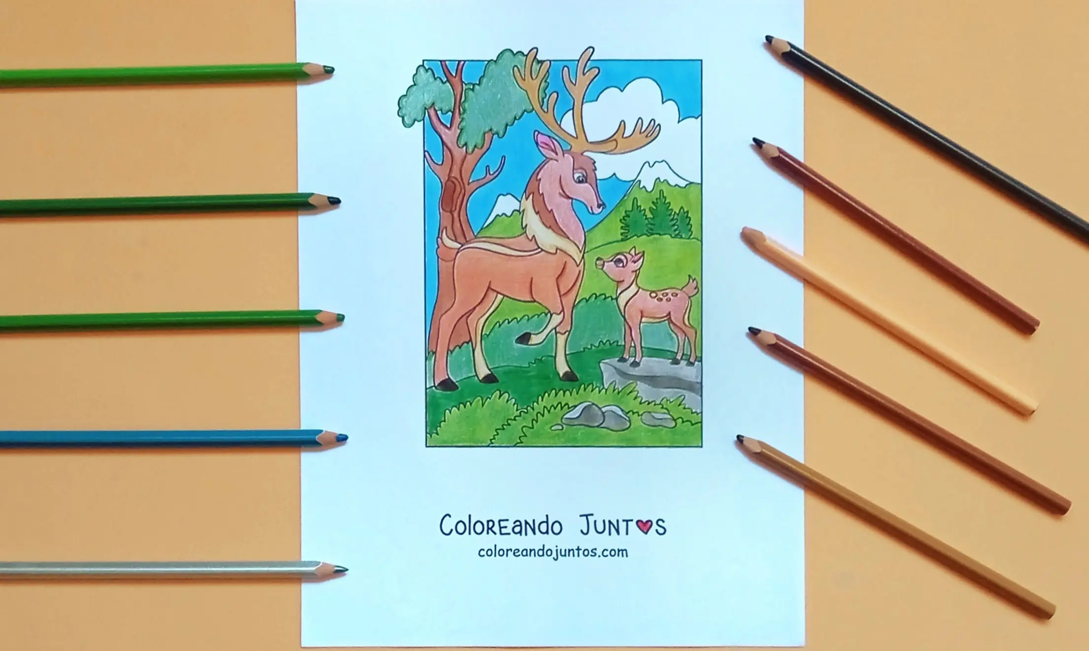 Dibujo de naturaleza kawaii coloreada por Coloreando Juntos