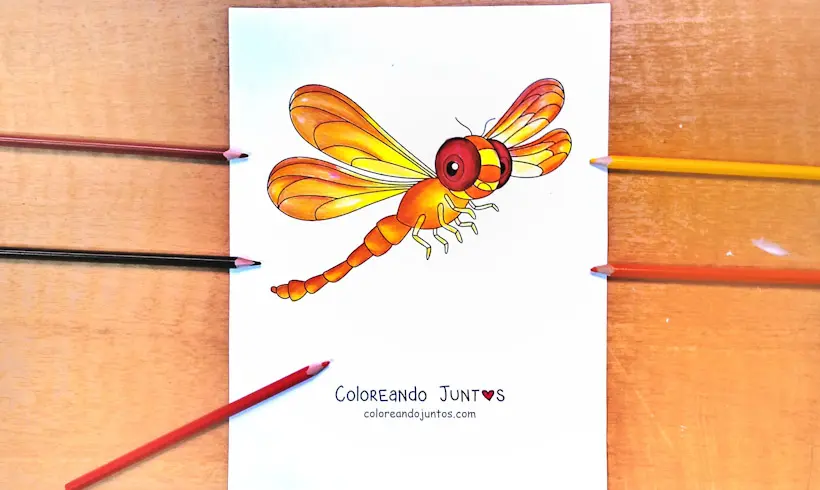 Dibujo de una Libélula coloreada por Coloreando Juntos