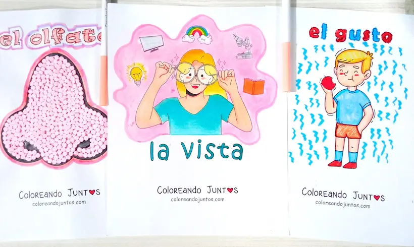 Dibujos de los 5 sentidos coloreados por Coloreando Juntos
